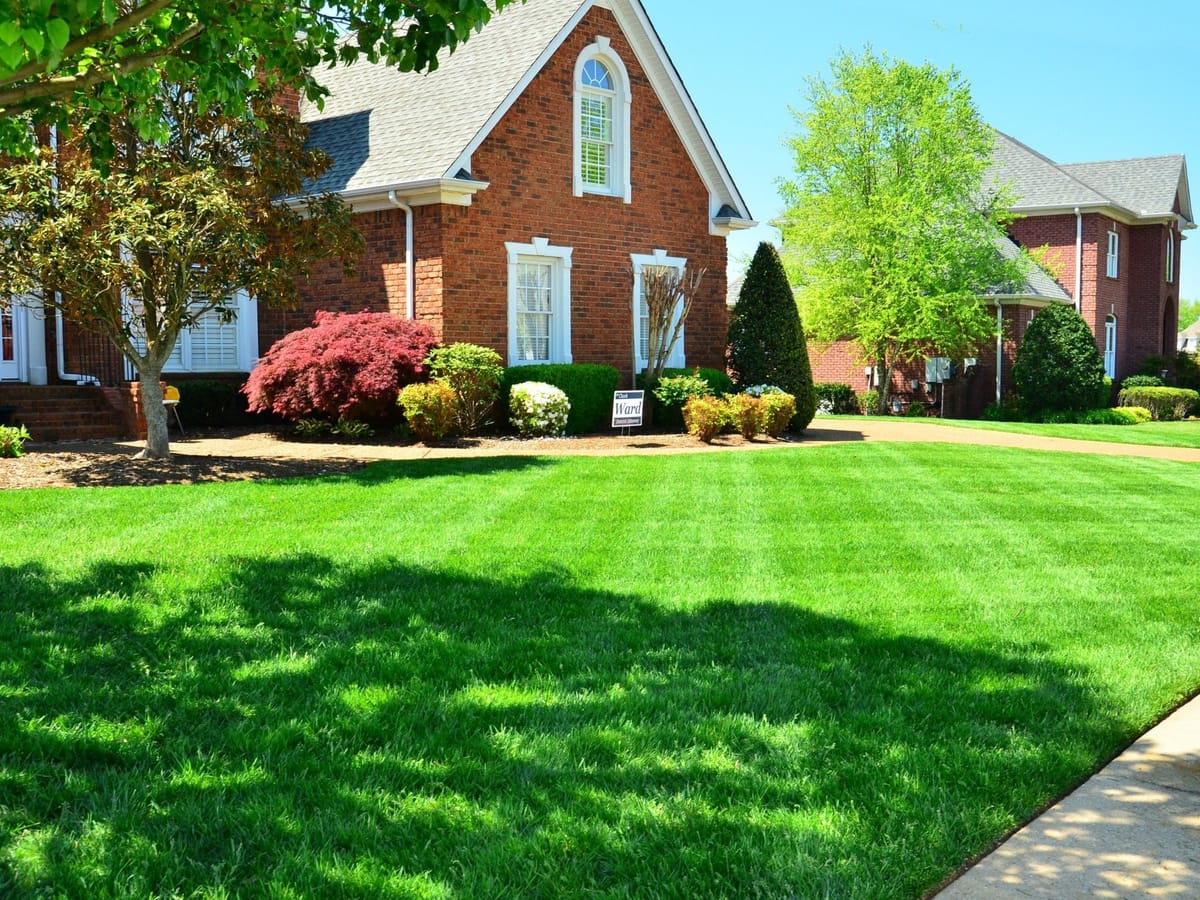 Artificial lawn