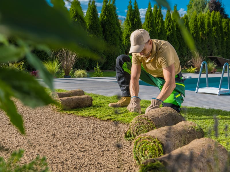 Artificial Grass by Smart Call Contractors