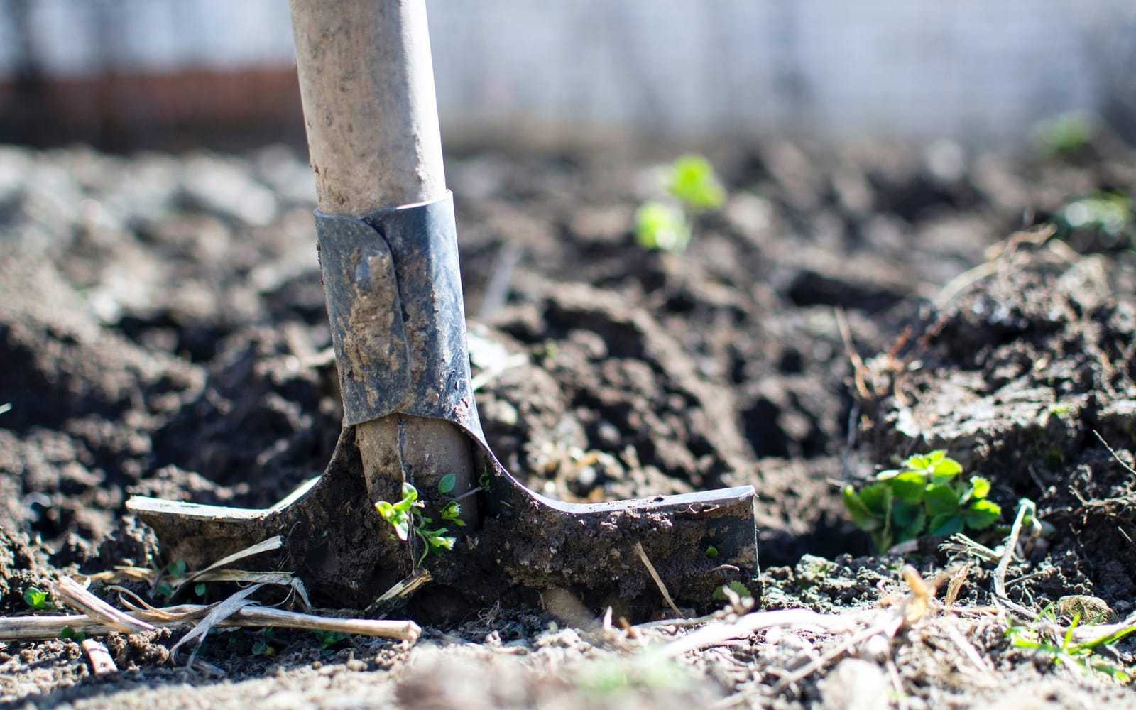 Site Clearance by Smart Call Contractors