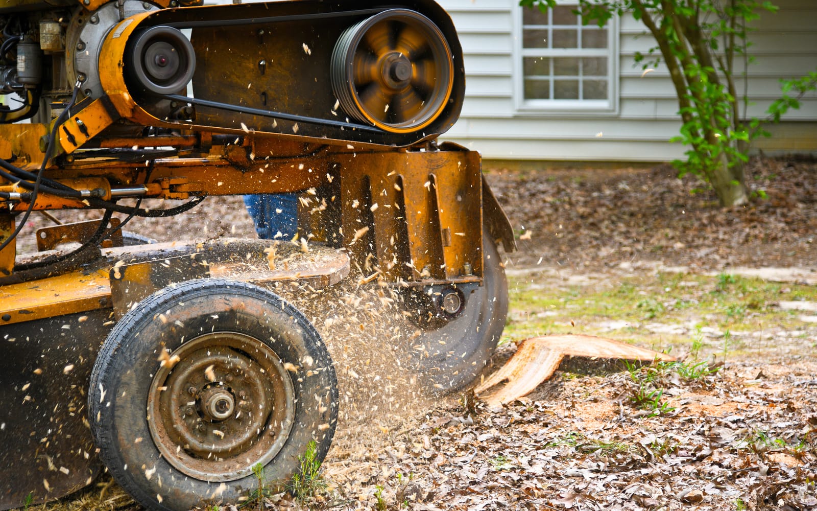 Stump Grinding by Smart Call Contractors