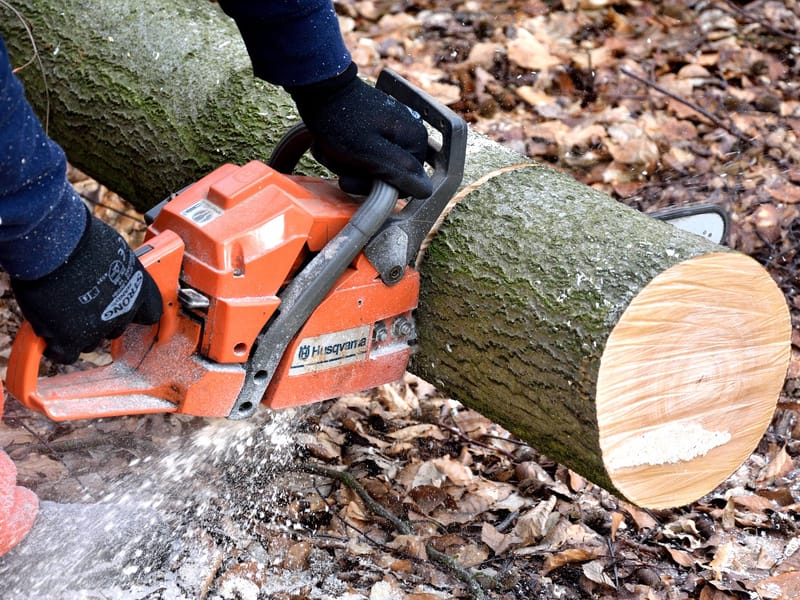 Tree Felling by Smart Call Contractors